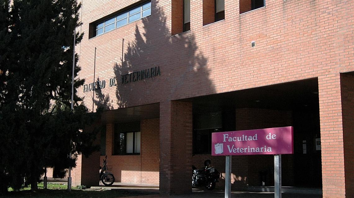 La Facultad de Veterinaria programa un curso sobre diagnóstico